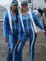 lycra spandex gallery