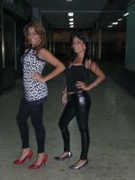 spandex gallery