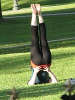 shiny spandex