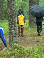lycra spandex gallery