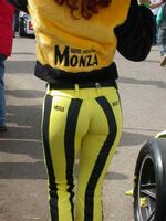 shiny spandex