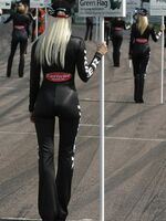 lycra spandex gallery