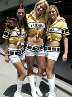 spandex gallery