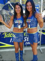 spandex gallery