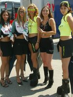 lycra spandex gallery