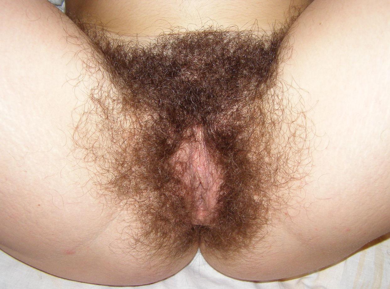 Extremely Hairy Pussy 83