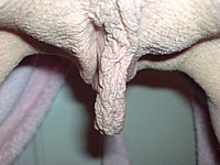 114.jpg