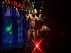 gay bondage comics