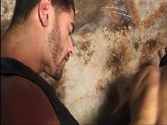 gay bdsm videos