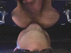 gay bdsm videos