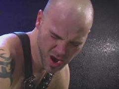 gay bdsm galleries