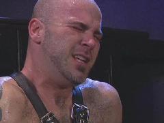 gay boy bdsm