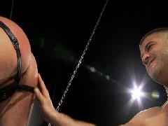 gay bdsm galleries