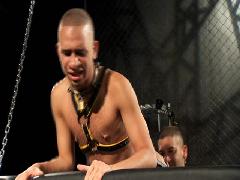 gay bdsm videos