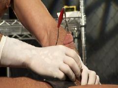 gay bdsm videos