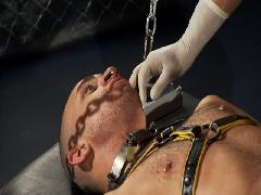 gay bdsm galleries