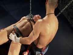 gay bdsm videos