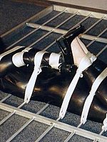 Bondage Sex