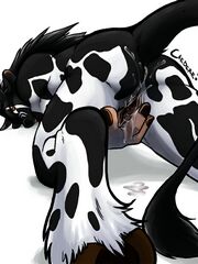 hentai anime porn