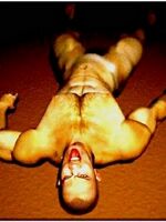 gay 3d sex