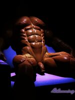 3d gay cartoons