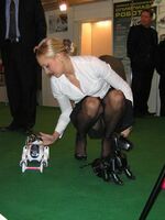 young upskirt