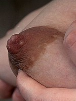 pp11.jpg