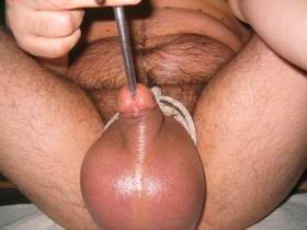cock41.jpg
