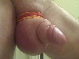 gh07.jpg
