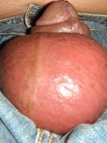 gh03.jpg