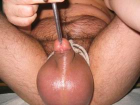 cock41.jpg