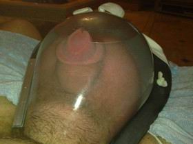 cock06.jpg