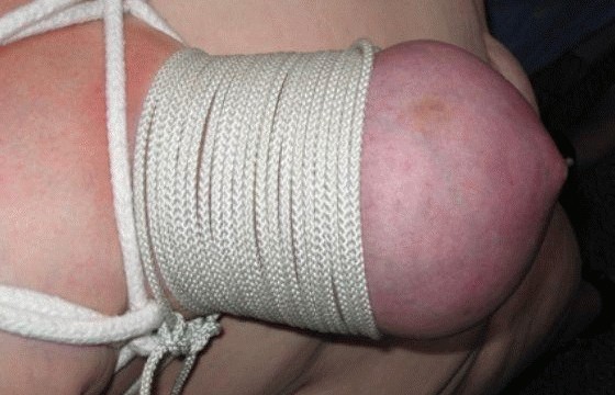 porno direct download