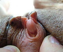 105.jpg