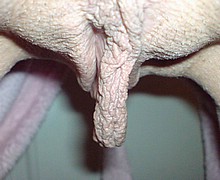 114.jpg