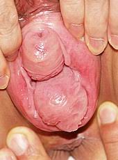 pussygape168.jpg