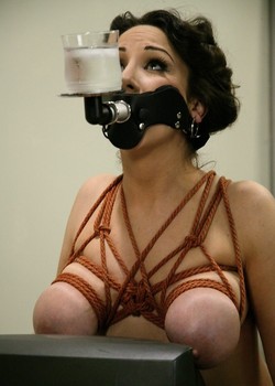 Dream Bondage Porn
