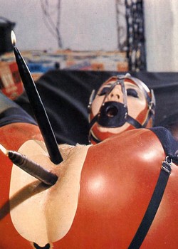 Retro Homemade BDSM