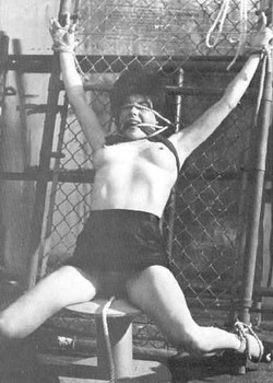 Vintage Real BDSM Sex