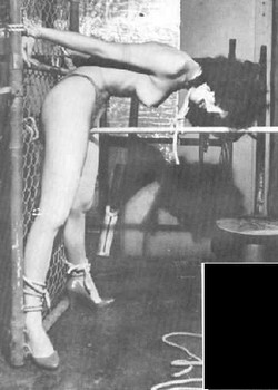 Classic BDSM Porn Pics