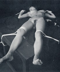 Vintage Japan Pornstars