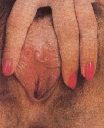 vintage classic porn