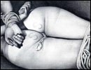 Cruel sex cartoons and extreme XXX pictures