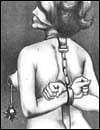 Free sex toons gallery