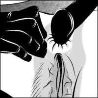 Free samples from BDSM comics `A New Secretary`, ep 2