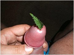 #1 Urethral Play Sample