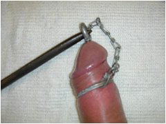 #2 Urethral Play Sample