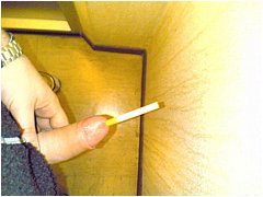 #4 Urethral Play Sample
