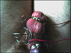#4 Urethral Play Sample