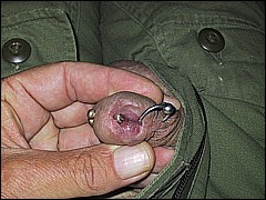 #1 Urethral Play Sample